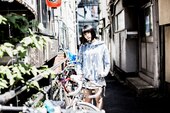 シバノソウ
