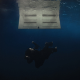 ワイルドフラワー