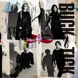 雷神 風神 - レゾナンス (パソコン音楽クラブ Remix)