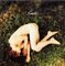 Secret Garden / NINE SPIRAL
