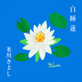 白睡蓮
