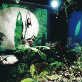 黄金の緑 / Love scene