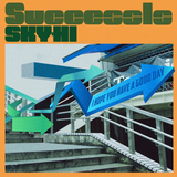 Success is