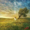 月光譚 - Moonlight Rhapsody -