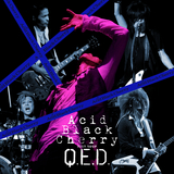 黒い太陽 (Acid Black Cherry 2009 tour "Q.E.D." LIVE)