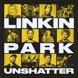 Somewhere I Belong?- Unshatter Film Soundtrack (Live in Sao Paulo)