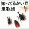 お嫁においで
