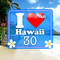 I Love Hawaii 30