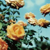 wanna Be A Dreammaker (SG INSTRUMENTAL ver.)