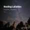 Healing Lullabies Anytime, Anywhere Vol.1