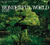 WONDERFUL WORLD
