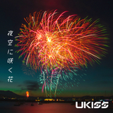 夜空に咲く花