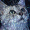 LIQUID CRYSTAL