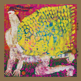 ダイスキダイキライ