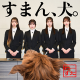 すまん、犬。