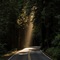 Memories with Nature
