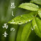 慈しみの雨音