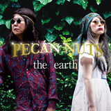 the earth